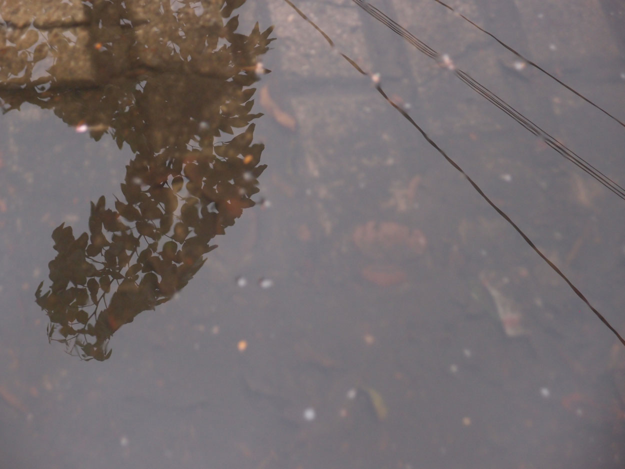 Willkommen Brasilien